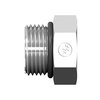 World Wide Fittings SAE O-Ring Plug - Hex Head 7237X06S
